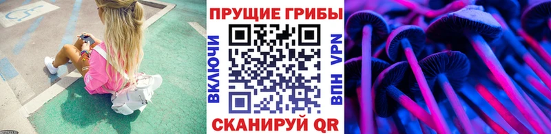 Псилоцибиновые грибы GOLDEN TEACHER  ОМГ ОМГ маркетплейс  Одинцово 